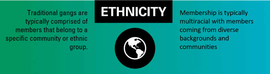 traditional gangs are typically comprised of members that belong to a specific community. In surrey membership is typically multi-racial. 